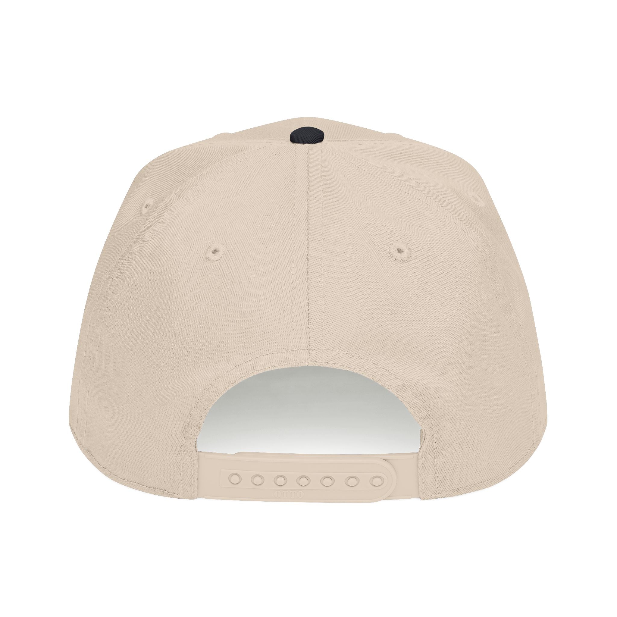 IN THIS ECONOMY (black) Mid Profile Baseball Cap